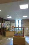 Musée des Ostensions