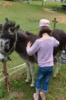 Un regard, une caresse, un sourire - Mini-ferme découverte