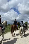 Les petites écuries de Genac