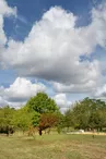 Aire de pique-nique de Rioux-Martin