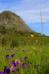 Le Mont Gerbier-de-Jonc