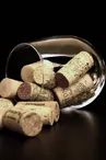 Gaec F. Bosquet et Fils