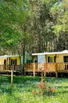 roulotte au camping du Lion