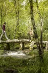 Pont mégalithique