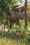 Les Cabanes Perchées du Safari de Peaugres