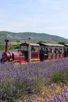 Maison de la Lavande Ardèche / Producteur-Distillateur & Musée