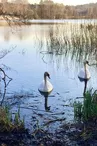 Aire de pique-nique du marais de la Heide