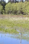 Le Conservatoire d'Espaces Naturels de Lorraine
