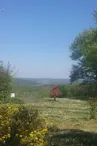 Le Rosier