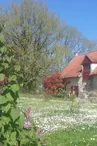 Vignoble Sud ext
