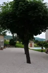 Laborde Neuve (1)