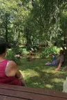 Aire de pique nique de Châtillon à Valence en Poitou_1