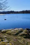 Etang du Puy