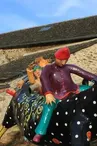 Lo caval de la calquièra