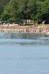 Plage du lac de la Vingeanne