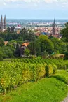 Obernai