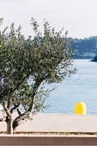 Etang de l'Olivier