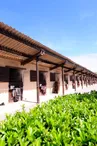 Domaine de Chevillon
