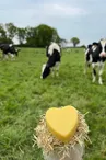 Les savons de la ferme du Coudray - St Germain de Coulamer