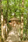 Cabane perché dans les arbres l'Orbière Laval