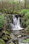 Cascade terrancon