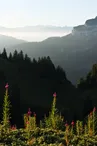 Belvédère du Charmant Som