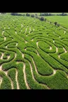 © LABYRINTHE LA CLE DES CHAMPS