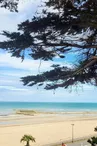 Service Communication Donville les Bains