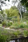 Jardin du revers