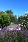 IMG_0336