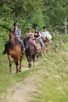 Randonnée à cheval