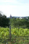 Vue sur Fresnay-sur-Sarthe depuis le Coteau des Vignes