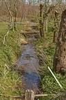 110073_parigne_l_eveque